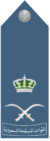 Royal Saudi Air Force -Air Vice-Marshal.png