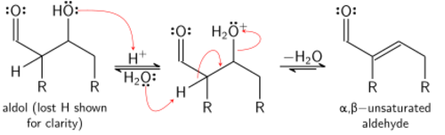 Mechanism for acid-catalyzed dehydration of an aldol