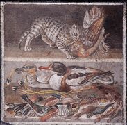 فسيفساء رومانية قديمة لقطة تقتل طائر حجل، من بيت الفون في پومپي.