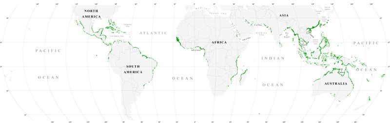ملف:World map mangrove distribution.jpg