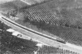Train passing through Rehovot orchards 1939