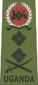 General (Ugandan Land Forces)