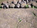 Fish petroglyph found near Ahu Tongariki