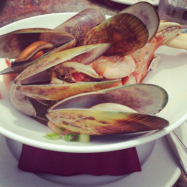ملف:Seafood clams.jpg