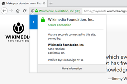 Many web browsers, including Firefox (shown here), use the address bar to tell the user that their connection is secure, often by coloring the background.