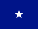 Flag of an Air Force Brigadier general