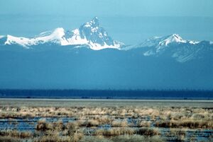 Flat wetlands of brown grass with snowy peaks in the background