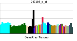 PBB GE CALCA 217495 x at tn.png