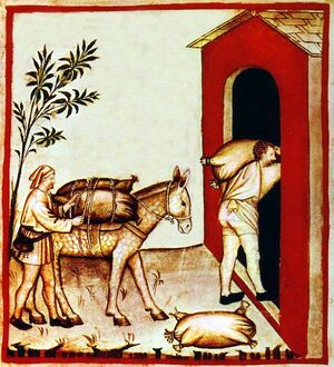 خزن جلود الحيوانات. رسم توضيحي من كتاب تقويم الصحة لابن بطلان (بغداد، القرن الحادي عشر) والذي نُشر في إيطاليا باسم Tacuinum Sanitatis في الرابع عشر