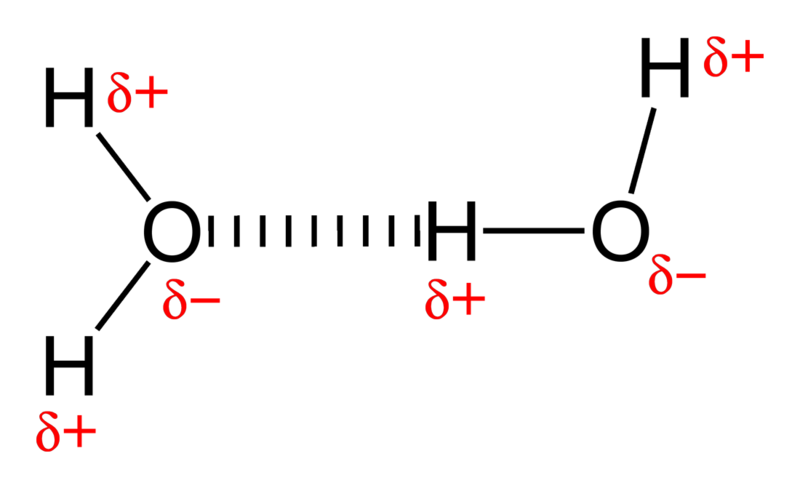 ملف:Hydrogen-bonding-in-water-2D.png