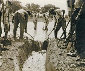 A black and white photograph of people filling in a ditch with standing water