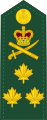 Lieutenant-general Lieutenant-général[15] (الجيش الكندي)