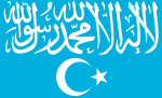 Flag of Turkistan Islamic Party.svg