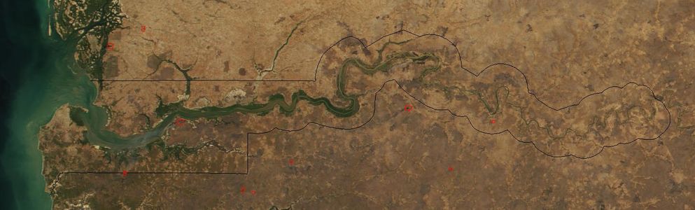 القطاع الغربي من نهر گامبيا، كما يبدو الفضاء. الخط يُظهر حدود دولة گامبيا.