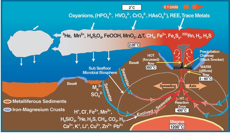 ملف:Deep sea vent chemistry diagram.jpg