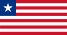 U.S. Ensign