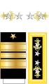 Historical USN Admiral rank insignia.