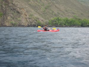 Photo of person sitting in boat with paddle. Island in background.