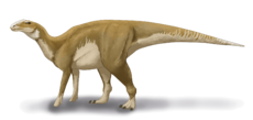 Hadrosaurus foulkii restoration.png