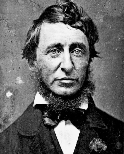 ملف:Henry David Thoreau.jpg