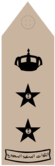 AQID (Field uniforms).png