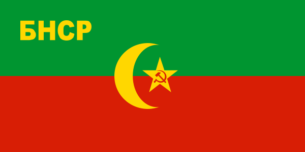 ملف:Flag of the Bukharan People's Soviet Republic.svg