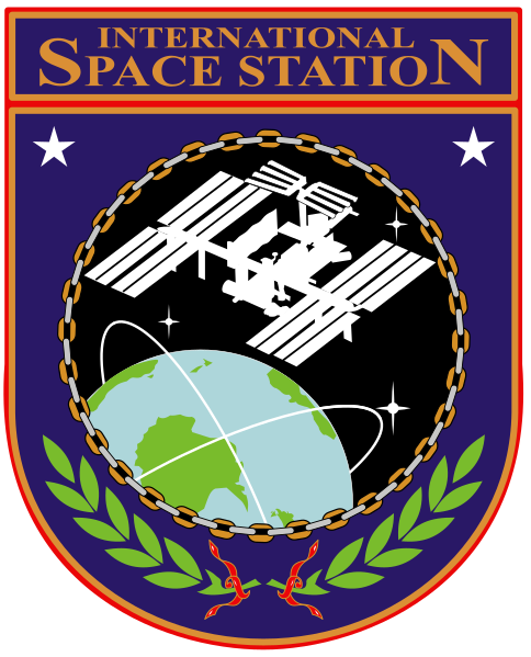 ملف:ISS insignia.svg