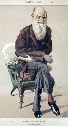 Full length portrait of a very thin white bearded Darwin, seated but leaning eagerly forward and smiling.