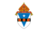 Flag of the Roman Catholic Archdiocese of Philadelphia.svg