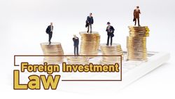 Foreign investment law ads.jpg