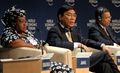 Jiang Jianqing, 2009 World Economic Forum on Africa.jpg