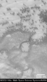 Dark dune spots on Mars, taken by the Mars Global Surveyor on August 10, 1999.