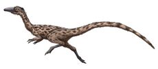Podokesaurus restoration.jpg