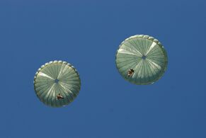 US Army 52230 "Airborne" in five languages 5.jpg