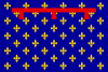 Flag of the Kingdom of Naples (Capetian House of Anjou) type 2.svg