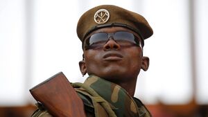جندي من الجيش النيجري.jpg