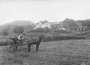 picture of team of horses drawing a hay rack (a dump rake) in the foreground, with a farmhouse in the background. There are two men on the rake.