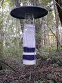 A carbon dioxide-baited CDC light trap at NPSmonitoring site: The highest individual light trap total for 2010 was from a trap located in a salt marsh in the Fire Island National Seashore: around 25,142 mosquitoes were collected during a 16-hour period on August 31.[2]