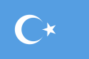 علم جمهورية تركستان الشرقية في المنفى