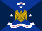 Flag of the Vice Chief of the National Guard Bureau