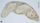 Stub icon