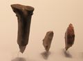 Mousterian & Aurignacian Cultures, Stone Burins used for incising stone and wood, Qafzeh, Hayonim, el-Wad Cave, 250,000-22,000 BP Israel
