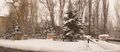 Pushkin park in snow