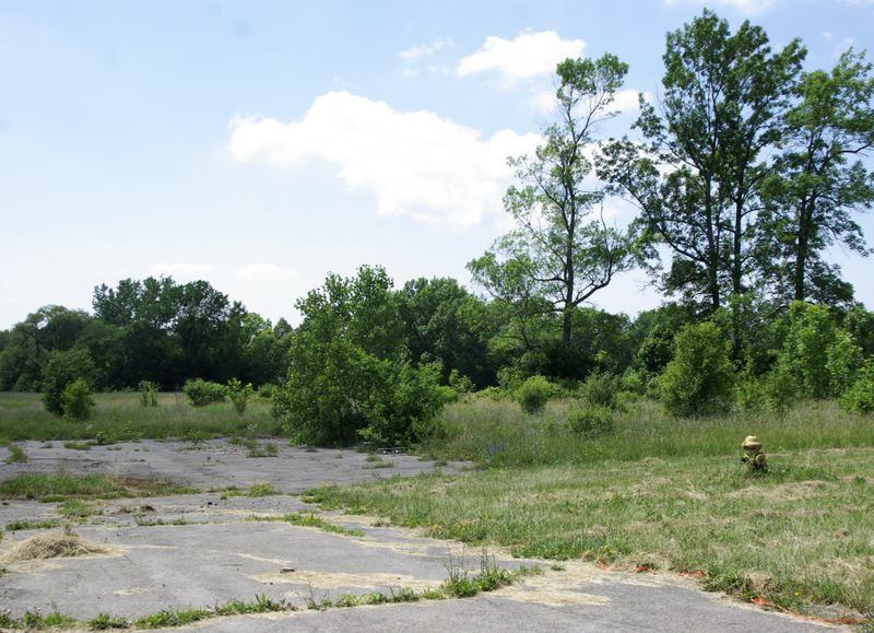 ملف:Abandoned parking lot in Love Canal.jpg
