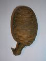 A classic example of a Lebanese Cedar Turd