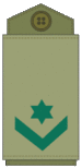 OR8 IDF Rav-Samal Mitqadem.gif