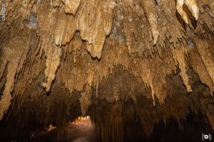 كهف الجارة من الداخل.jpg