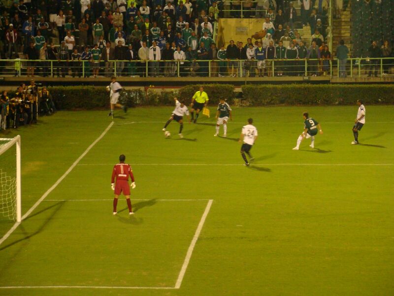 ملف:Palmeiraslduwikipedia.JPG