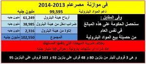 دعم المواد البترولية في الموازنة المصرية 2013-2014.jpg
