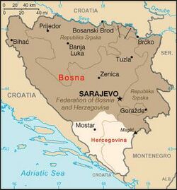 Approximate borders between two modern-day regions of Bosnia and Herzegovina - Bosnia (marked dark brown) and Herzegovina (marked light brown)
